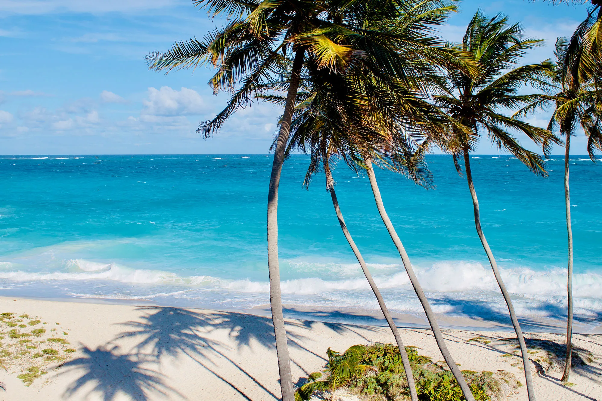 Barbados Bottom Bay