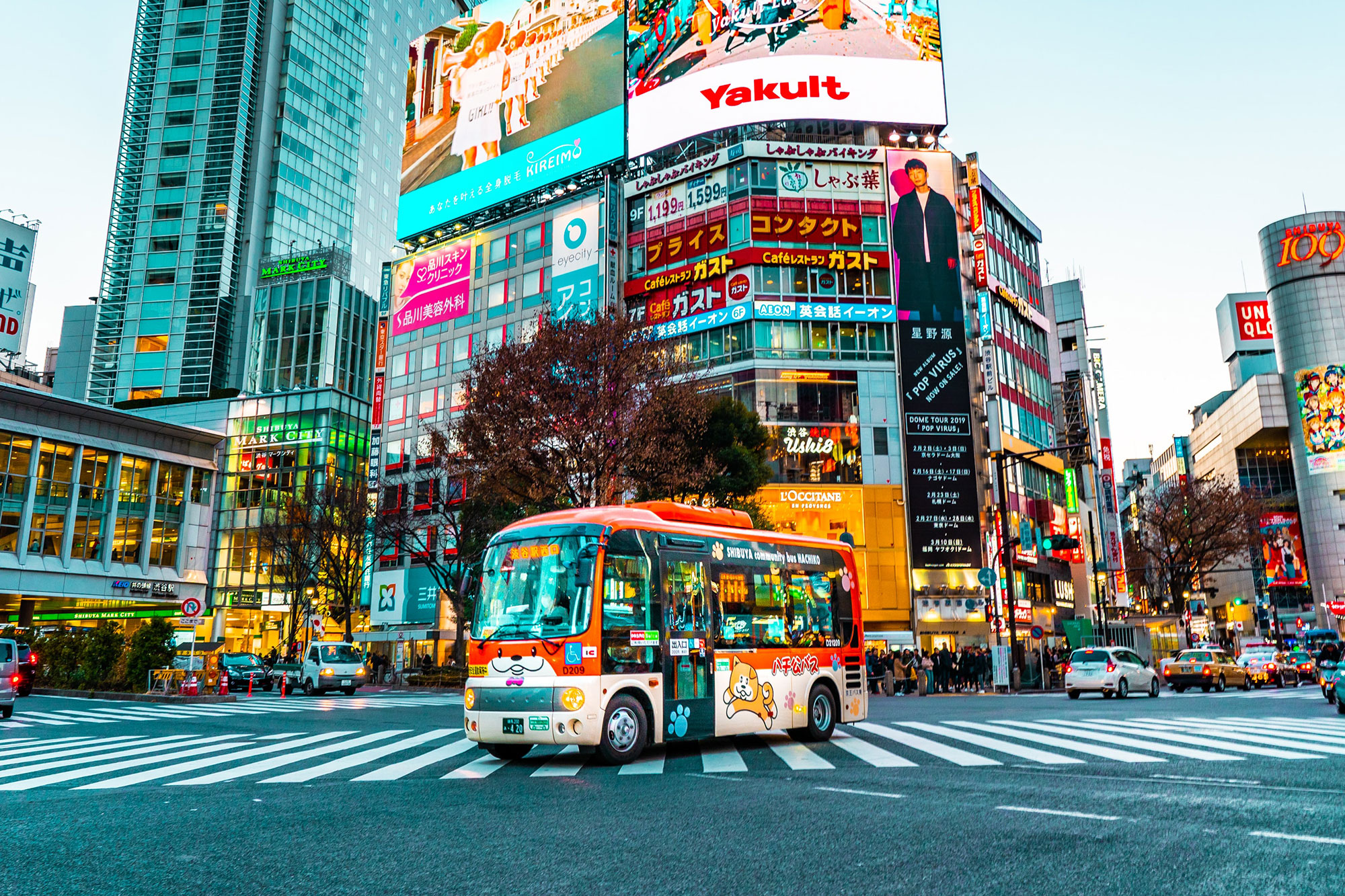 Tokyo Bus