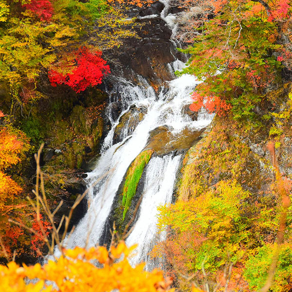 Japan Fall Season