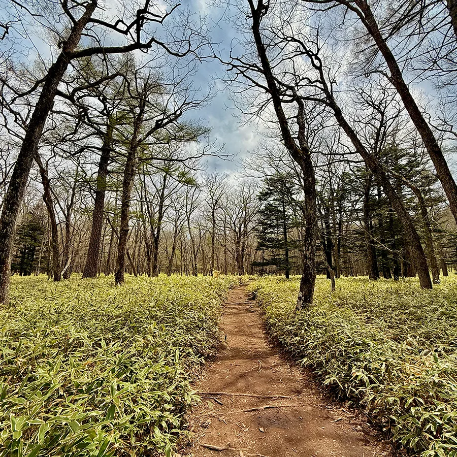 Yugawa, Japan
