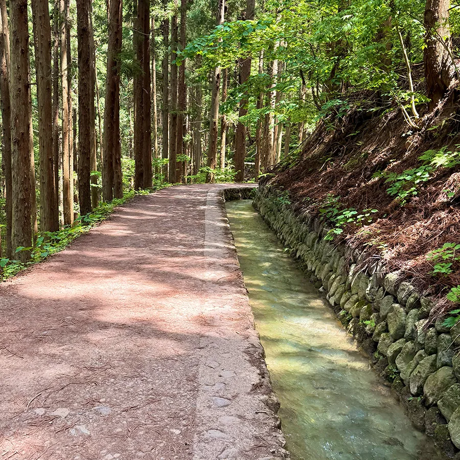 Jigokudani Yaen-koen, Way
