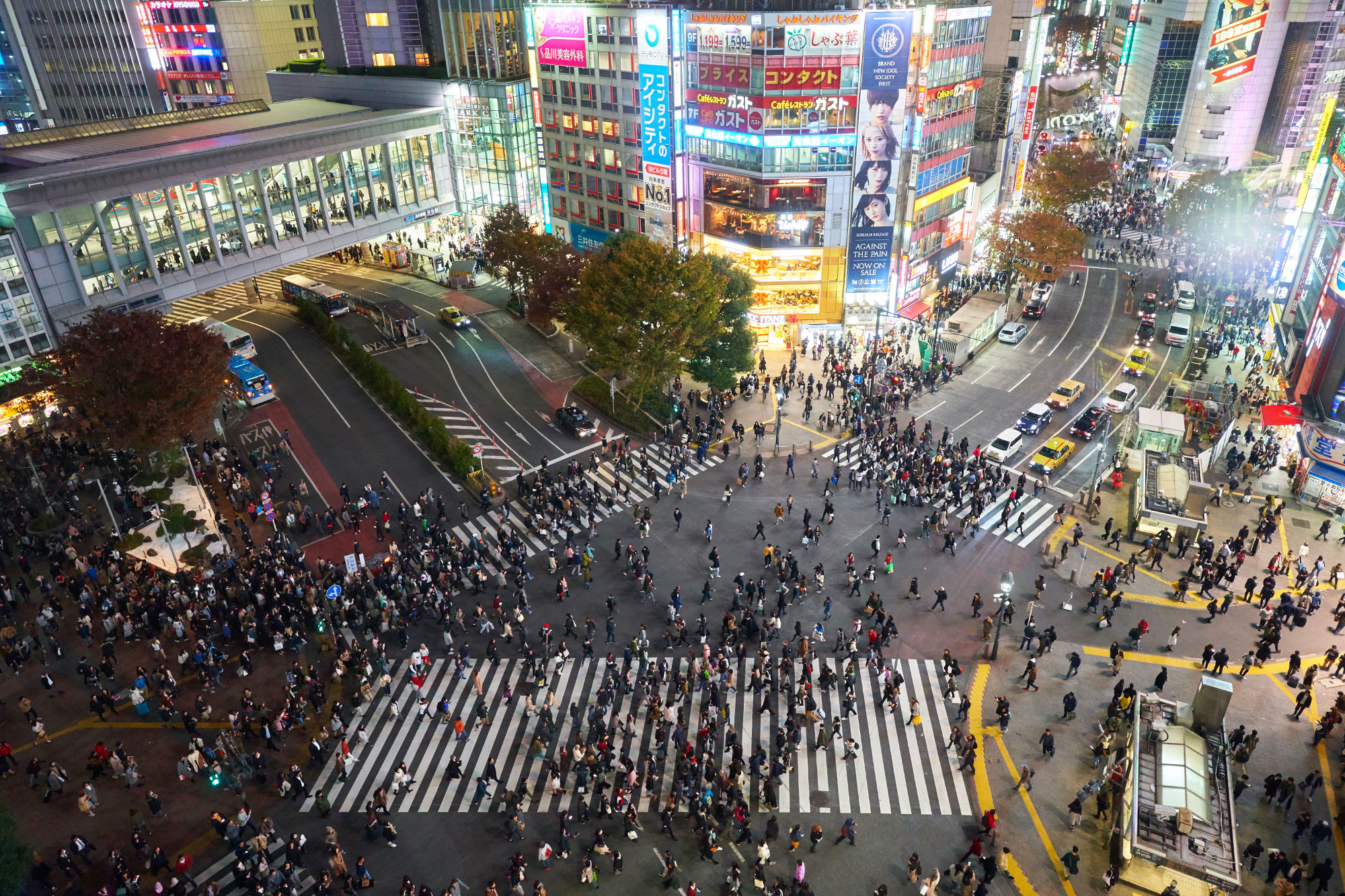 Tokyo Shibuya Crossing