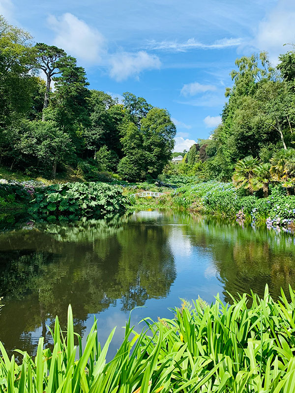 Trebah Garden, Cornwall